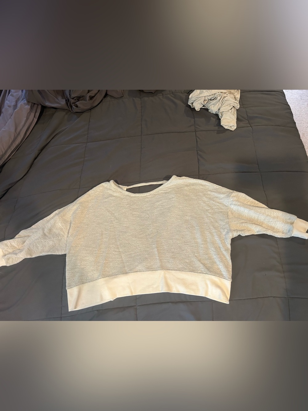 BB Dakota Light Gray and Cream Cropped Knit Pullover